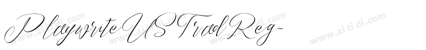 Playwrite USTrad Reg字体转换